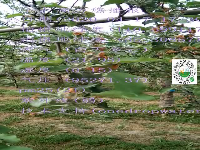 tmp_2d1b748c6490260f1ae3fc7373402f6cb45ac23607f0e4b7.mp4