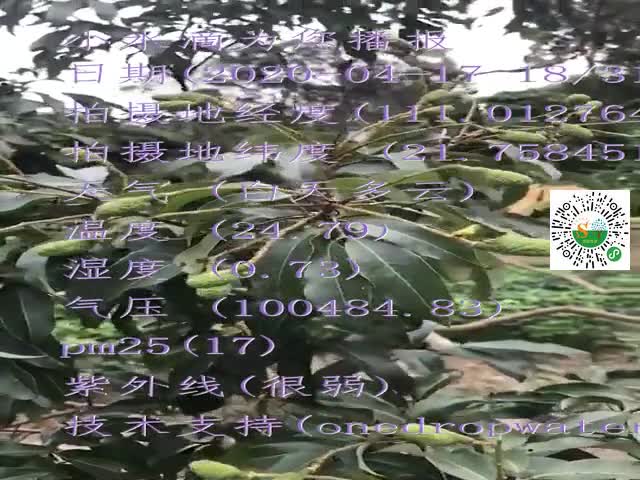 tmp_0234d697ca5a116d5223503c84c754b1.mp4