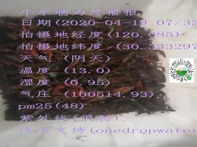 tmp_3936a5254de827064da14bc22221325c81c42fa325f19246.mp4