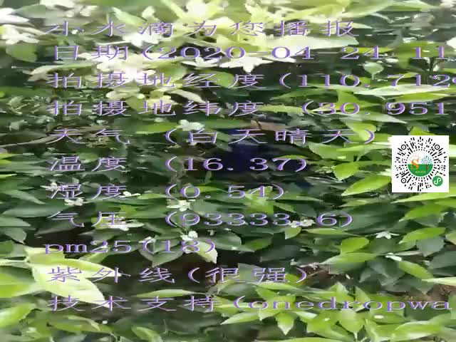 tmp_d305fbea387f8ad5811f0cd0b7a42dfb50f85674891e3bea.mp4