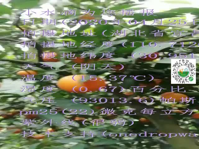 tmp_4cd0c41670590ce88dcb84ca90a32835d96cbc79f5666691.mp4