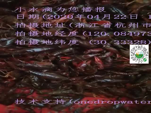 tmp_b2ddf212183d2a2b3855f65f5a21177ccb55474ef8c0ac2c.mp4