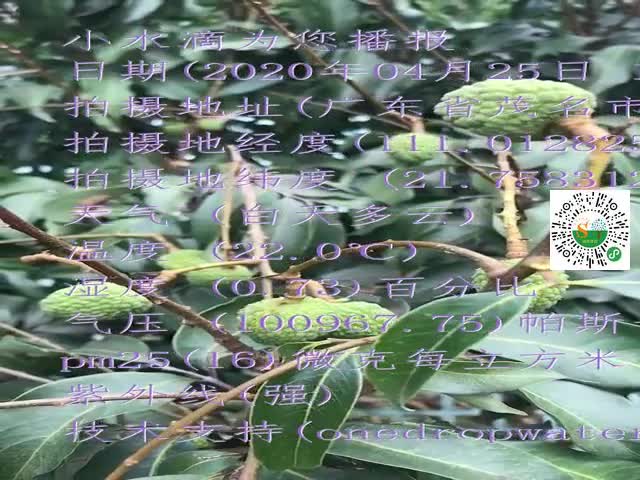tmp_ace8c86a0d8fde40f3b53097be5cd8b5.mp4