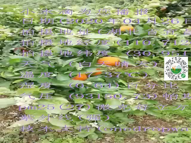 tmp_d330e88c30f56c7367afe42d0dd651716172f674ea748253.mp4