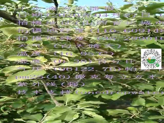 tmp_6c37a7b50525f85b002d4197cf62a00bf6e1b2ad55e9db82.mp4