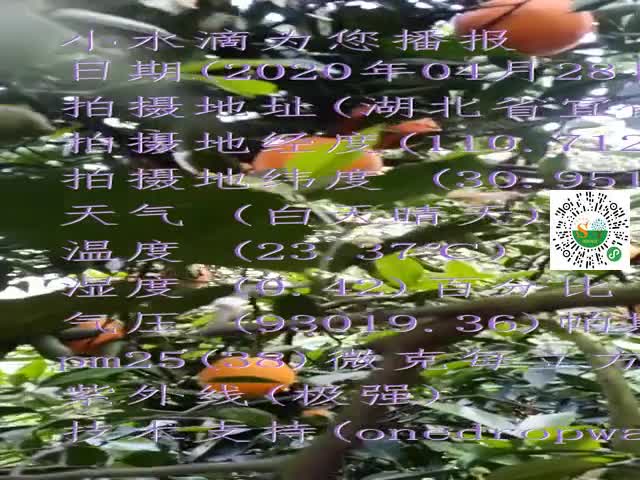 tmp_77ae82dccc759501ee96fbaae1f492bff86b8002b973ea26.mp4