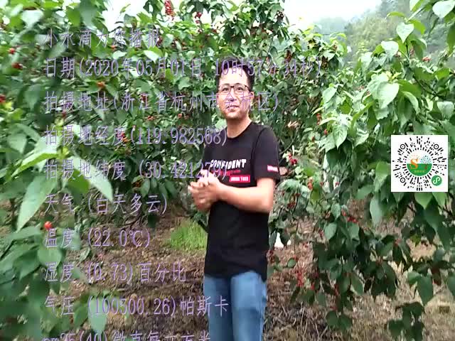 tmp_ca7fc17e9955767e488551edc34ca9930722c55c76c9741d.mp4