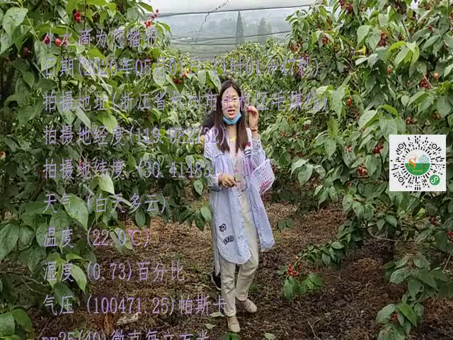 tmp_a167420803d4999671ce9f3ad36ece53595f8fc682e460e6.mp4