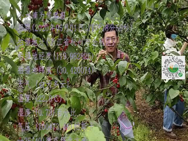 tmp_3fab1521fb2c02a6793050fb8ca6619d5d7687be95611010.mp4