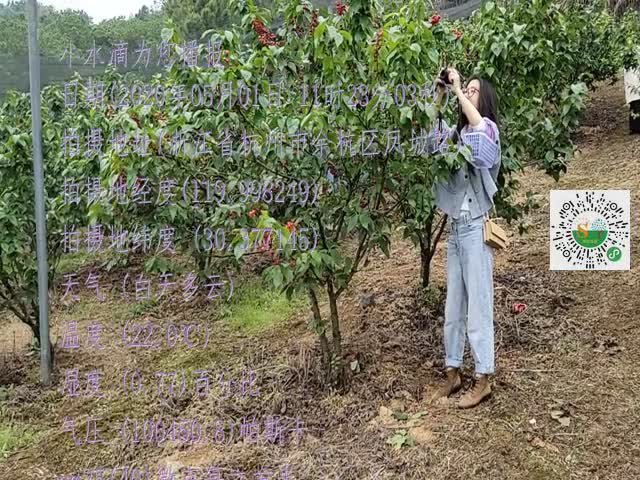 tmp_6b145debec2dfc9b0e5891f52aaeb7329c92c9f792762b91.mp4