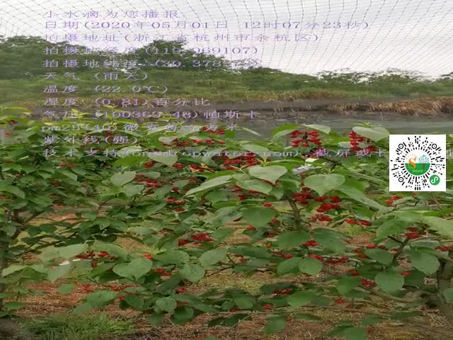 tmp_4abbba7a7cb9315f744227879ddb10590189668d42bd60a8.mp4