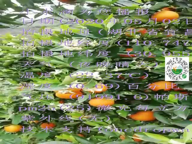 tmp_0315517accacb4ae545afa39b26a2f5a1c1c8b198524f191.mp4