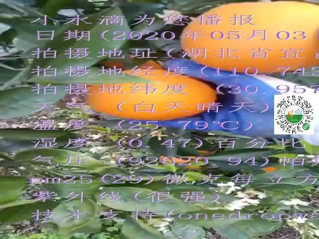 tmp_e8e197d87419402e803721aba2db7aec9e809b2195f0ed52.mp4