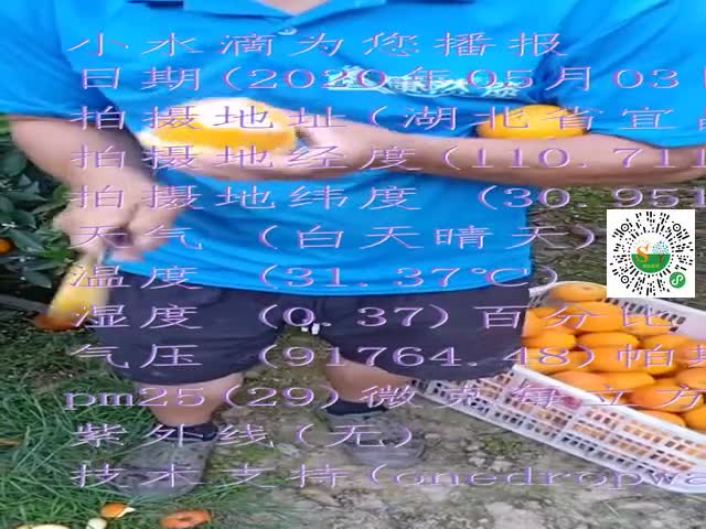 tmp_08dcf84a1340cd977be36e0f9c8e5eda6006fe18000b6b81.mp4