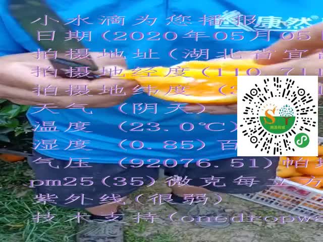 tmp_a9643867abe7f143add6ed4db0ea2fbd3c68631044d3e2e6.mp4