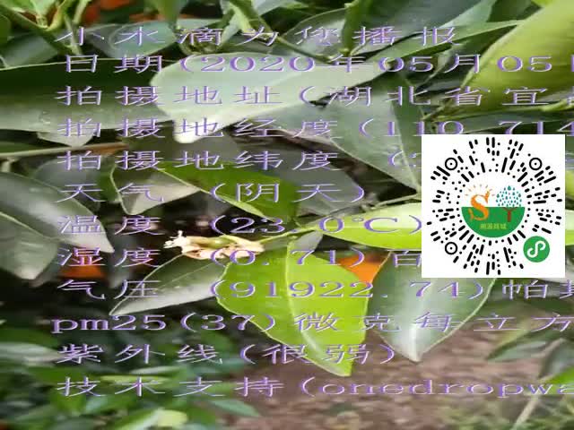 tmp_c3a88a80964de4c7dd37edaa1015db585d63415ae3bc8363.mp4