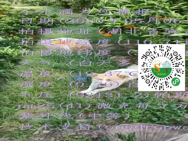 tmp_8949c4beb0955e47d424c639340807a6dc4abaf7945eb15d.mp4