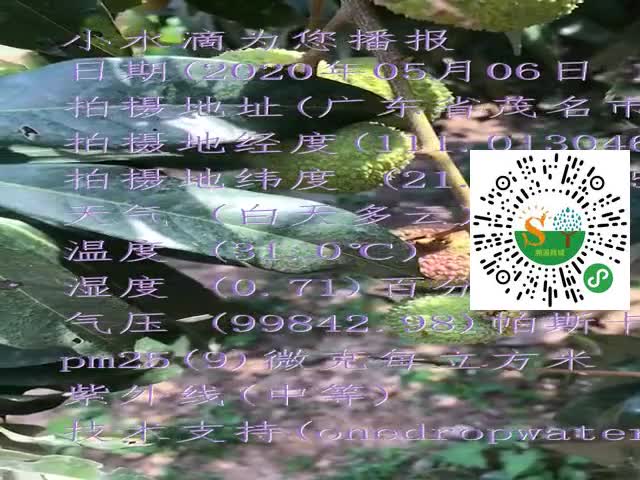tmp_8e3fb308e0f260ce025c1ae3276b09b6.mp4