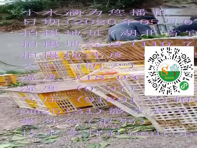 tmp_87ce3e40351c2a581b1455b4a3494100d5a7acfc1d1b83fc.mp4