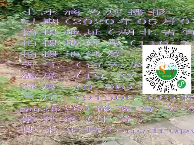 tmp_4944217682e5e441056ab6f1855736492511278fe4aa4a6e.mp4