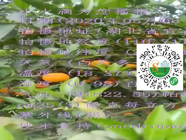 tmp_ee9b7774b5f54d4bf389a80f6ef4fec274e1e2b963786df1.mp4