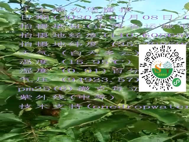 tmp_2edb92a38f1507ef17acb2724b63165f837903ffcc85e910.mp4