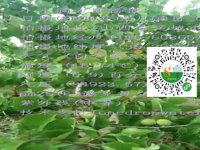 tmp_bc309a6c181165db280124d4f6e44a1352e736019254a36e.mp4