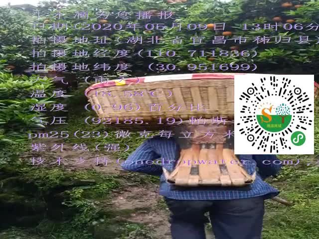 tmp_ede14a7f6230e8a2152a7b9e50ef01746d5b4f295692da82.mp4