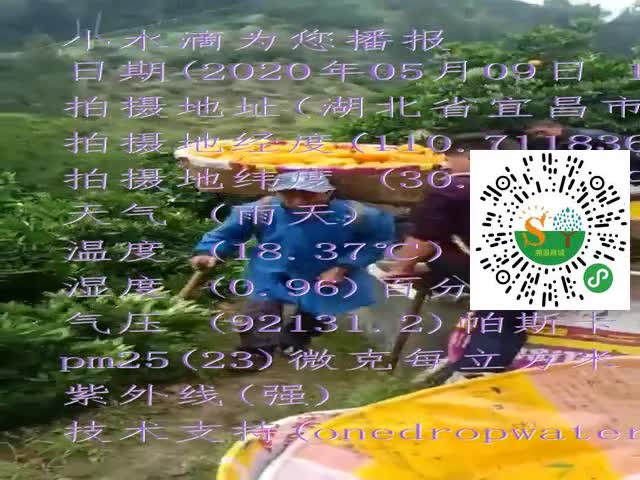 tmp_aacb35b6537f2bc1451c537bed4ffa1b52ee33b05c76de4a.mp4