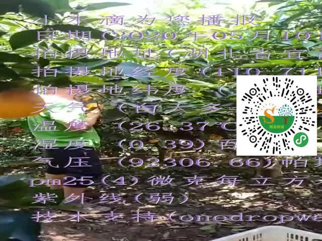 tmp_621ff7cd9c52df05cef1dc14707baf45d5aa5b4c47afd0b8.mp4