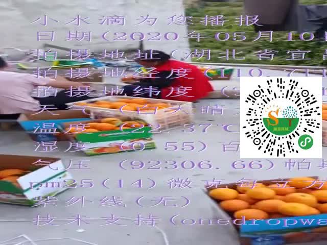 tmp_d6c311a1b3c282a982f553ce1b2747c70713d6815e3711f1.mp4