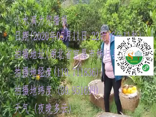 tmp_247613b3719c63b58b2199a051c652b1c932debae4042f42.mp4