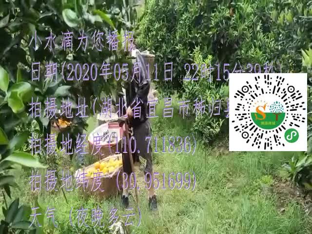 tmp_43a6e616e82e3e7706aad56a518473fd8fcbdef49007edd7.mp4