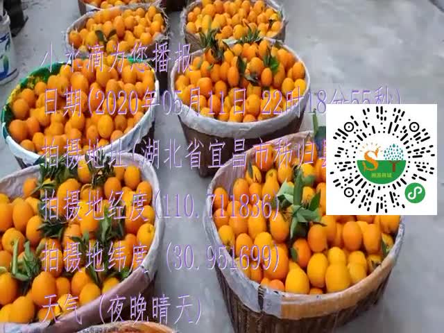 tmp_c8c4fef9d9733e101a99b63a1815641c018d0daabae94fde.mp4
