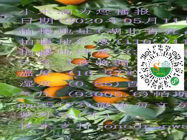 tmp_353f03c4ae4590d22c0e118ce1f8d0efc100f33974d4703f.mp4