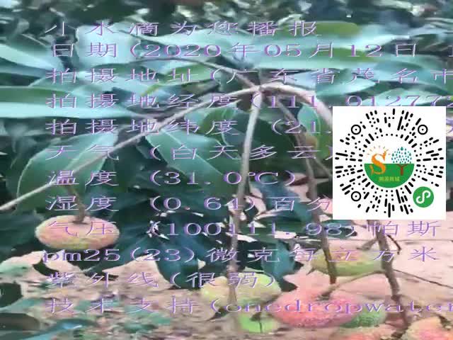 tmp_f187f3478ed2b97c9ddf24f85a125f93.mp4