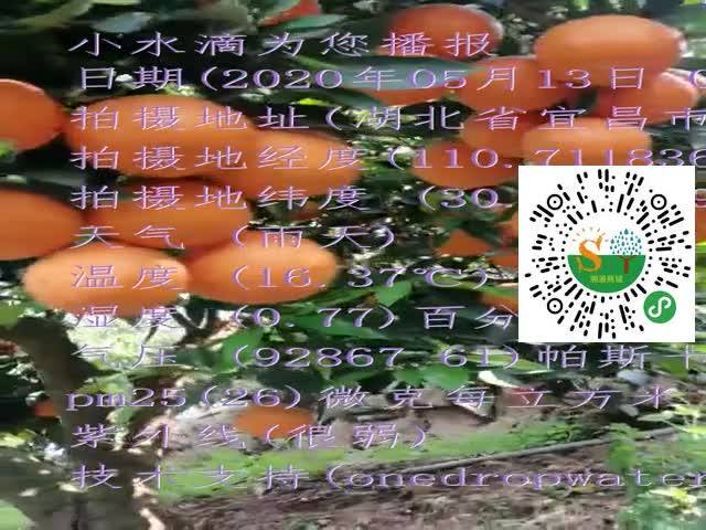 tmp_ece31a03675975233e25c63227292cb17d0a422ca73c997a.mp4