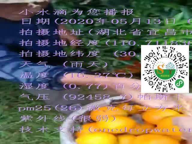 tmp_ade70df1fe975f6456b5f4e619b8875f587d2feb59a1ad14.mp4