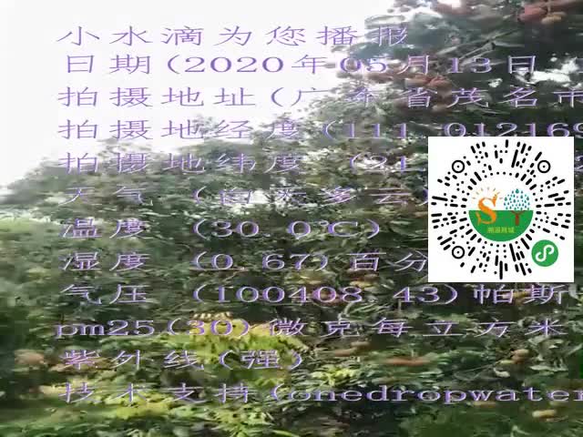 tmp_e75d0814e4a598fd117e2356aefd1bf5.mp4