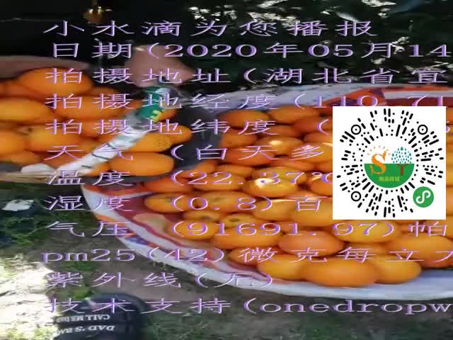 tmp_84f6bcbff0ec34901271d2674adbc5c531040db2e5be3f52.mp4