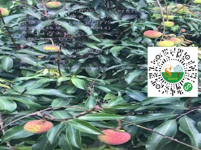 tmp_a0946f072aaf03d1782b580a4d35915e.mp4