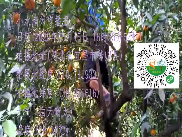tmp_5dfff0181acfe416db19f7d08c28fbc0007fe0054c9009e2.mp4