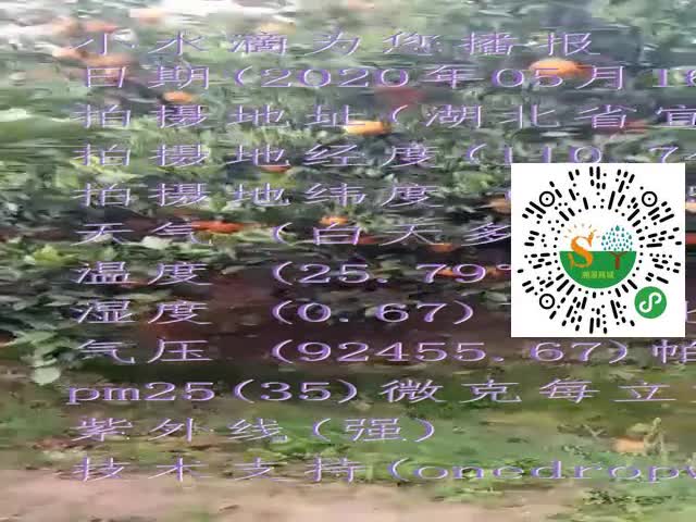 tmp_5ee0d902aebf252aa161bbd9eb2dcffad3d882e00789b960.mp4