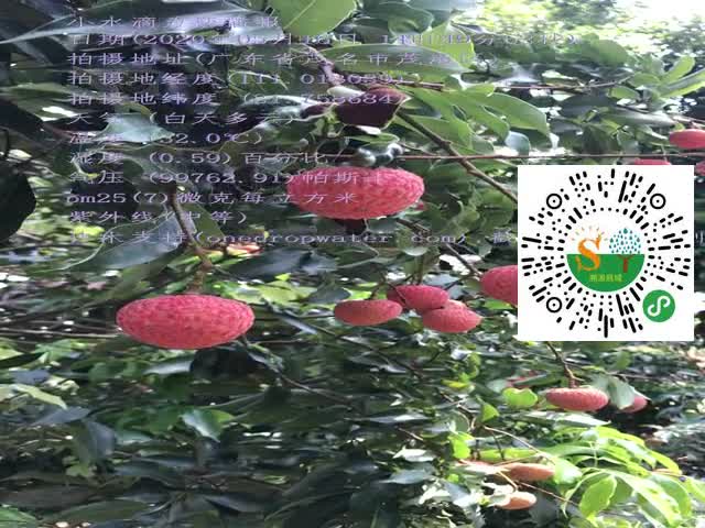 tmp_c6e28f104765f01f025e50ff8483aa9c.mp4