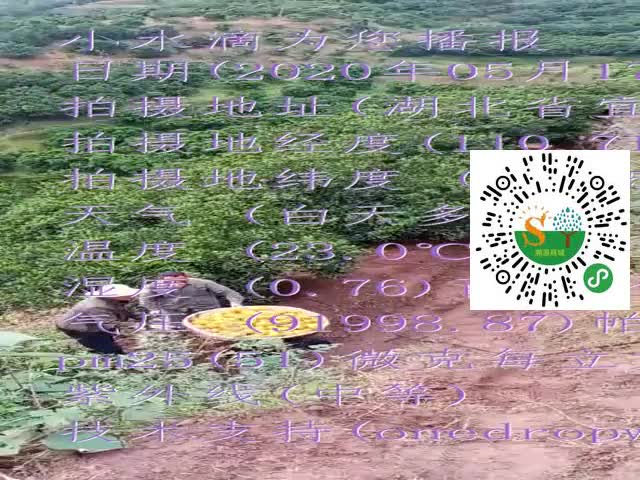 tmp_55f85ad64dadad038906001be620f190985df99291cfb9e3.mp4
