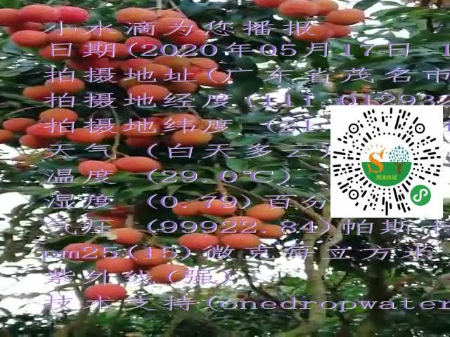 tmp_8feed0c29464fc64bb4ddc65ef2d4769.mp4