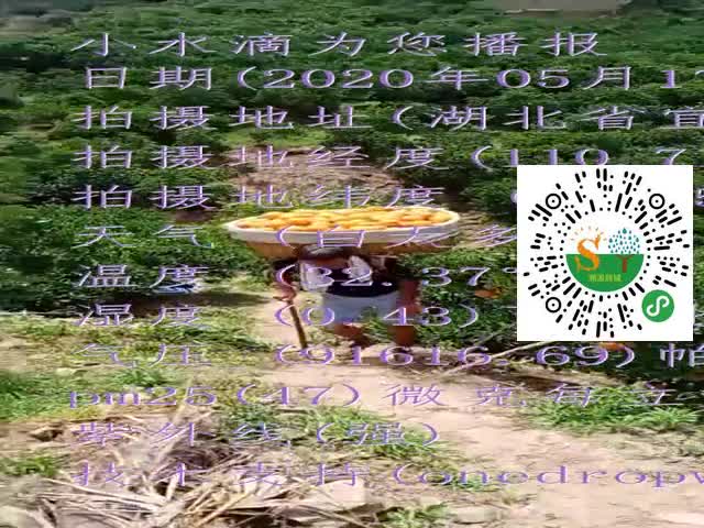 tmp_90276d5832a401cdca885d7d6f7a5be3d4621edb7adf0be1.mp4