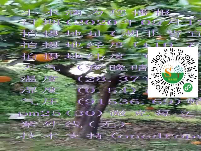 tmp_b3bada28522ab77eab403a4efb0df5d208fe9590193def6e.mp4
