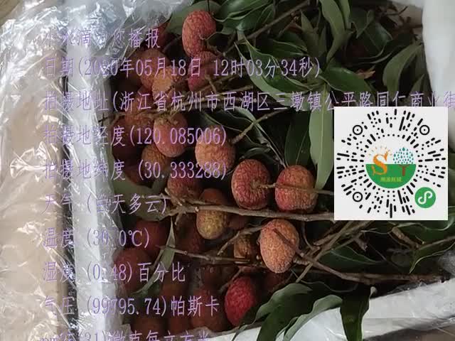 tmp_90c16ba9988b587d3a1ac3ff208b3699d82e7876a2720ba1.mp4
