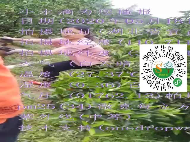 tmp_a70b6e45b9d1667393f63e87b0c8e95a584e390852d4de77.mp4